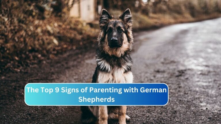 The Top 9 Signs of Parenting with German Shepherds